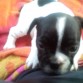 Kiova con tan solo 1mes y medio!!